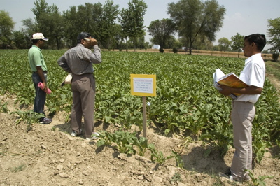 crop pesticide testing england